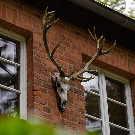 Villa Wald- Und Seeidyll Im Historischen Forsthaus Neuruppin