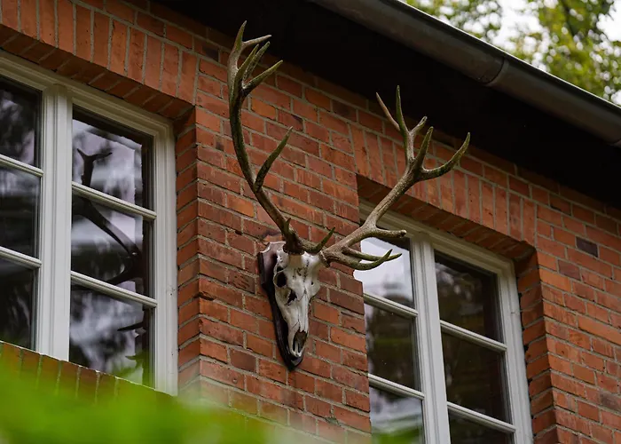 فيلة Wald- Und Seeidyll Im Historischen Forsthaus نيوروبين