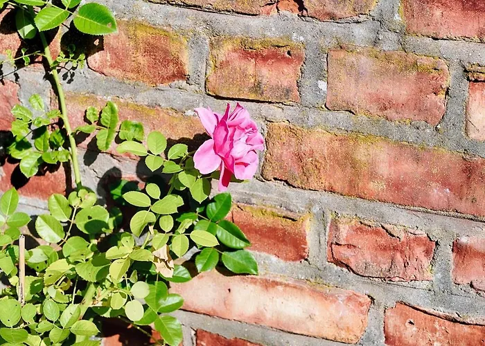 Wald- Und Seeidyll Im Historischen Forsthaus نيوروبين